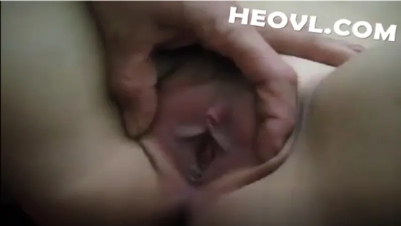 Xoạc e lan bướm đẹp